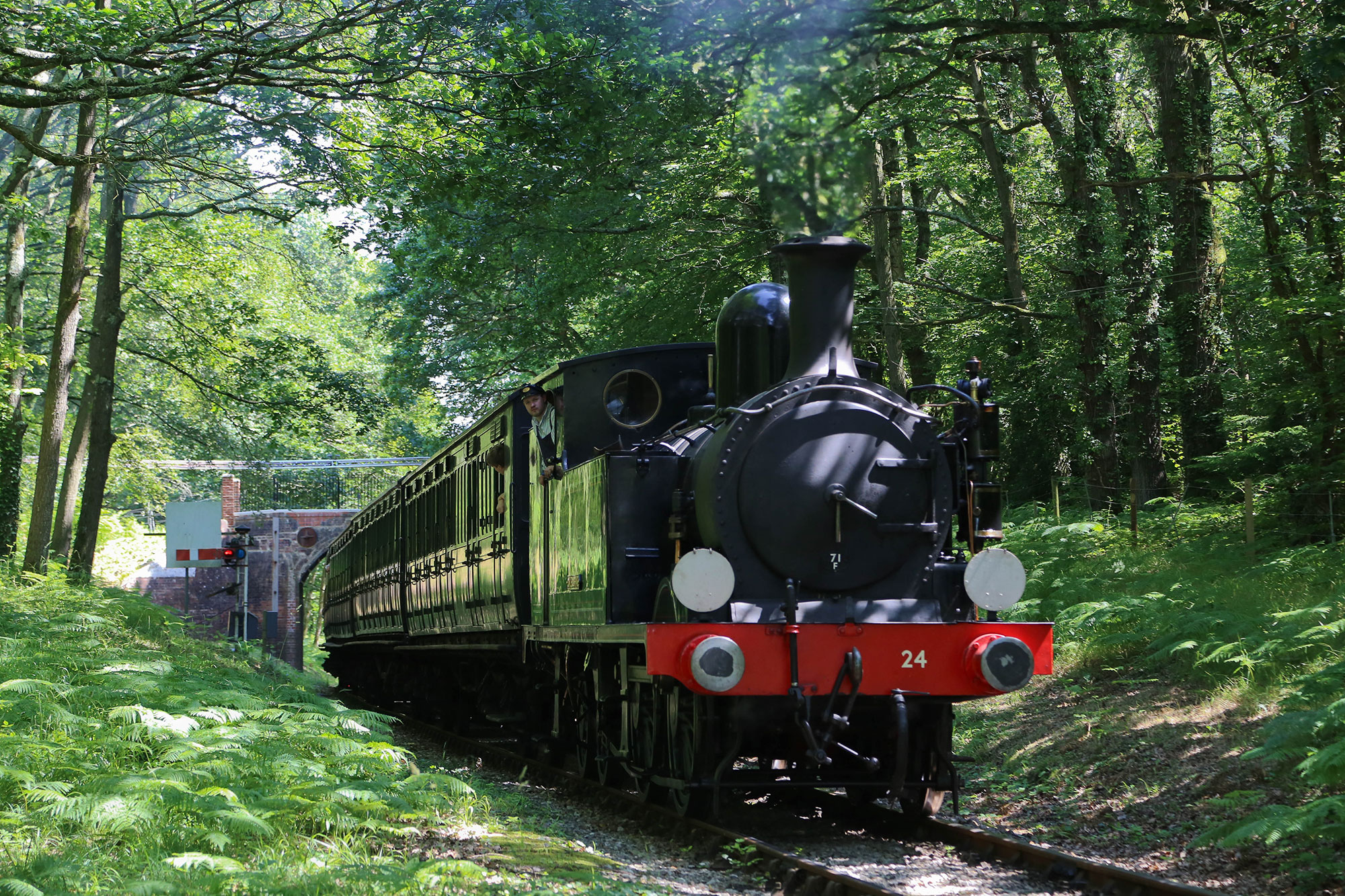 the-train-ride-isle-of-wight-steam-railway