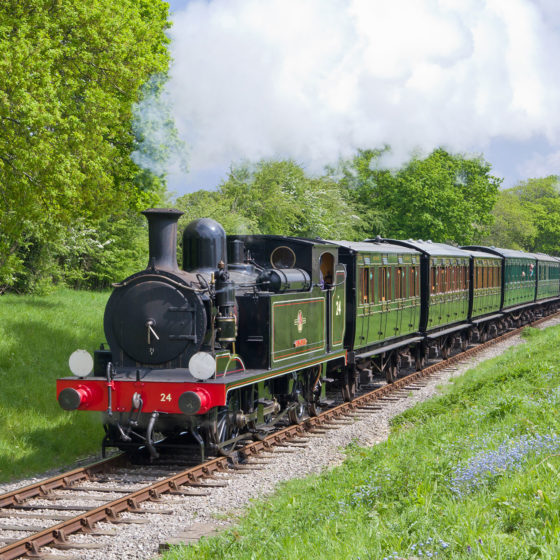 Locomotives - Isle of Wight Steam Railway